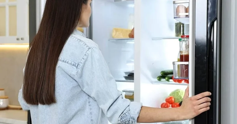 Meğer buzdolabı bu yüzden sürekli vızıldıyormuş Sözcü Gazetesi