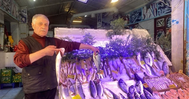 Yasak başladı, balık fiyatlarında henüz bir artış yok Esnaf ilerleyen dönemle fiyatlarda artış bekliyor Eskişehir Haberleri