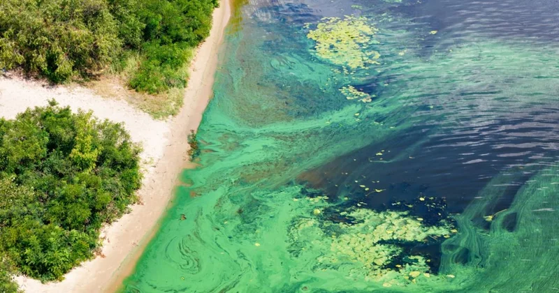 Okyanustan gelen tehlike büyüyor: Milyarlarca insan risk altında Sözcü Gazetesi