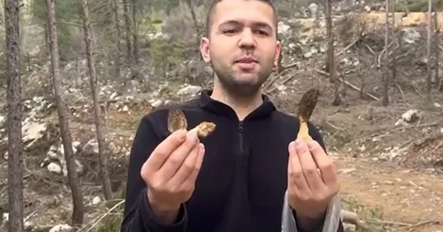 Feke de kuzu göbeği bereketi Adana Haberleri