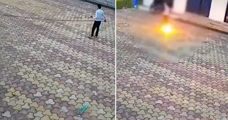 Maymunu kovmaya çalışırken canından oldu