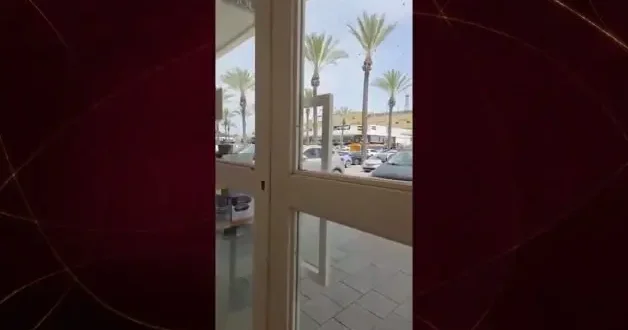 Arıların istila ettiği İsrail de uçak seferleri iptal edildi