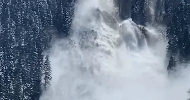 Trabzon’da çığ anı kamerada: Kar kütlesi saniyeler içinde koptu VİDEO İZLE