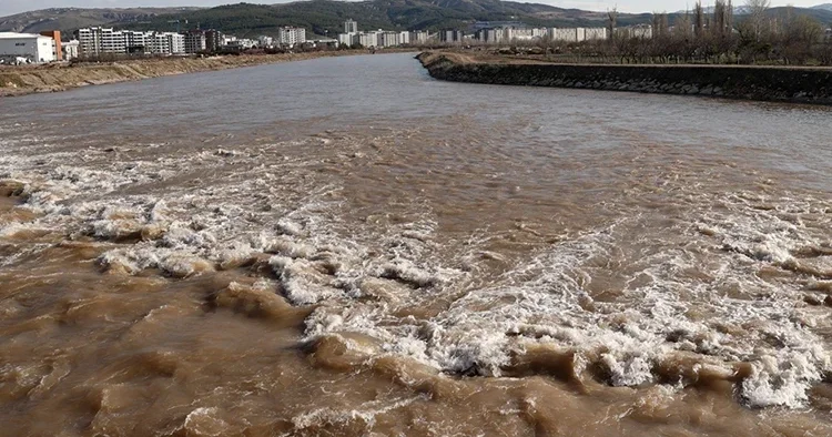 Türkiye nin en uzun nehrinde sevindiren görüntü: 10 yıl sonra en yüksek seviyede