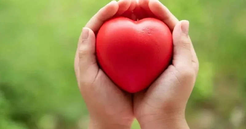 Kalp ve damar sağlığı için en iyi meyveyi açıklandı Sözcü Gazetesi