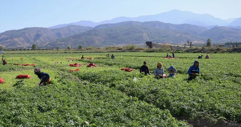 Mevsimlik işçi kıdem tazminatı alabilir mi?