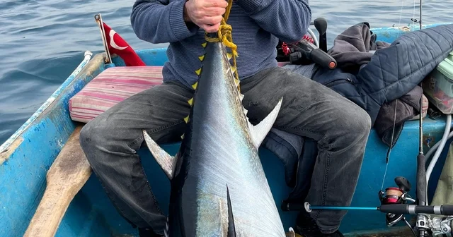 Hobi olarak olta balıkçılığı yapan öğretmen 60 kiloluk orkinos yakaladı Hatay Haberleri
