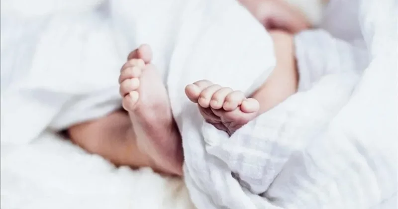 Tüp bebek ve kaplıca masrafı devletten