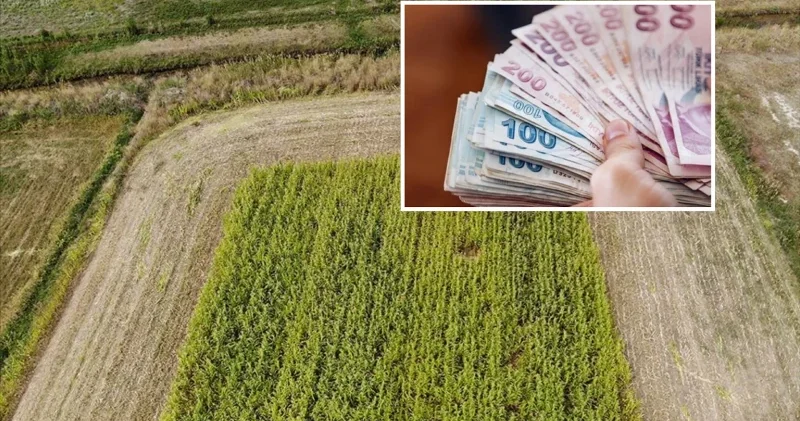 Kırsalda büyük yatırım hamlesi: 327,5 milyar lira ekonomiye kazandırıldı Ekonomi Haberleri