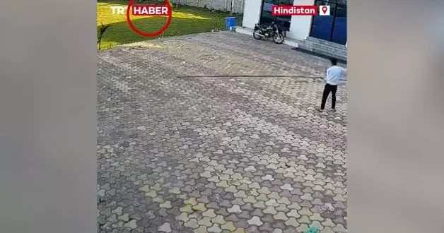 Hindistan da akılalmaz olay! Maymunu kovalamak isterken canından oldu