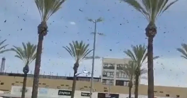 İsrail i arılar bastı: Motorlarına arı yuvalayan bazı askeri araçlar kullanım dışı kaldı VİDEO İZLE