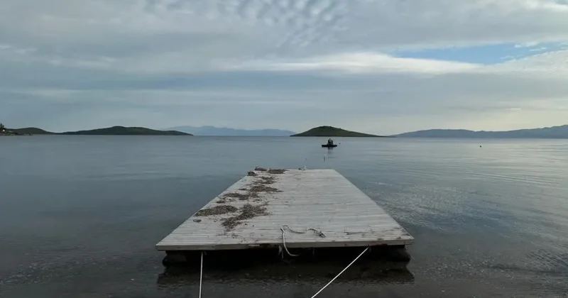 Deniz çayırı temizlerken yakalandılar