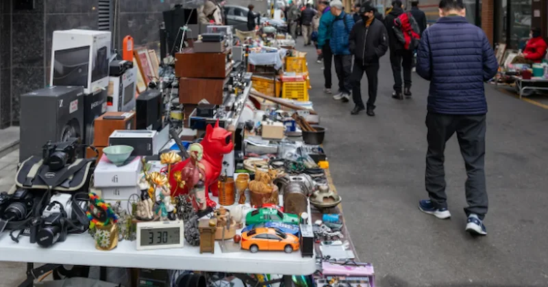 Şehrin ortasında hazine avına çıkıyorlar: Onu bulan anında zengin oluyor Sözcü Gazetesi