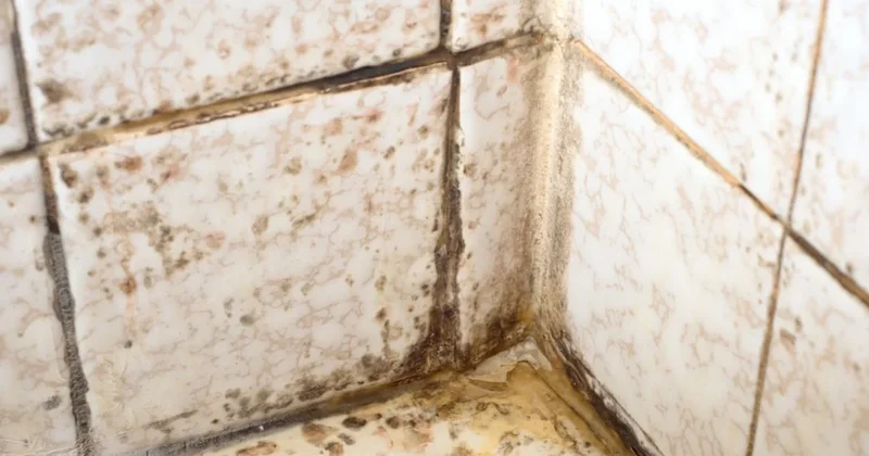 Meğer çözümü sirke değilmiş: Derz aralarını bembeyaz yapmanın formülü bulundu Sözcü Gazetesi