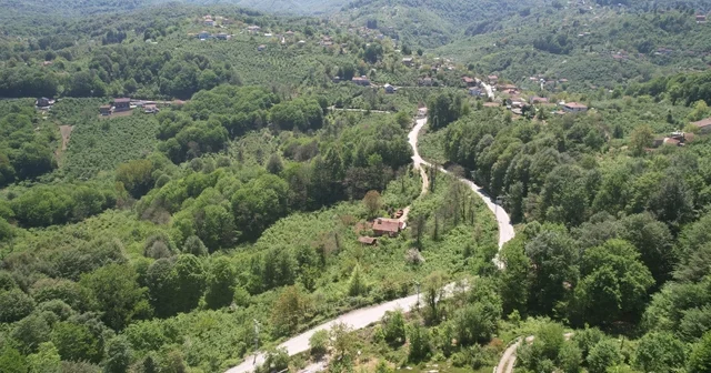 Zonguldak ormanları baharın gelişiyle dronla görüntülendi Zonguldak Haberleri