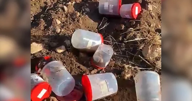 Şanlıurfa da Mezarlıkta 21 Cenine Ulaşıldı