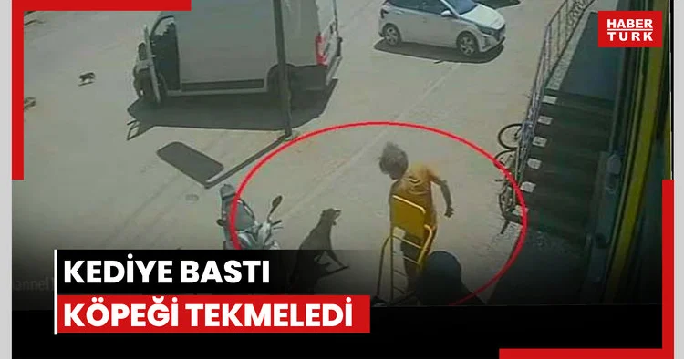 Kediye bastı, köpeği tekmeledi