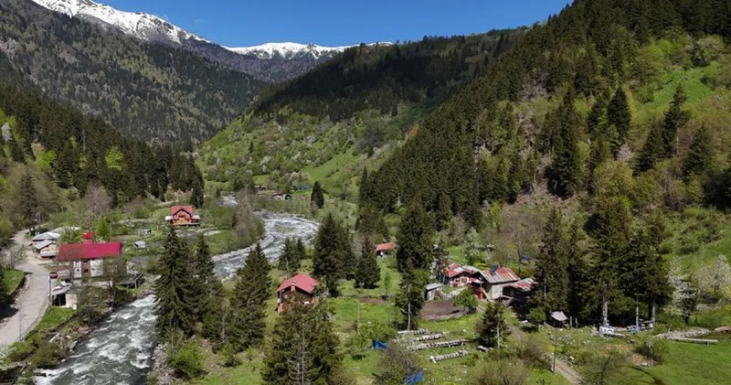 Kaçkar Dağları nda bahar renkleri
