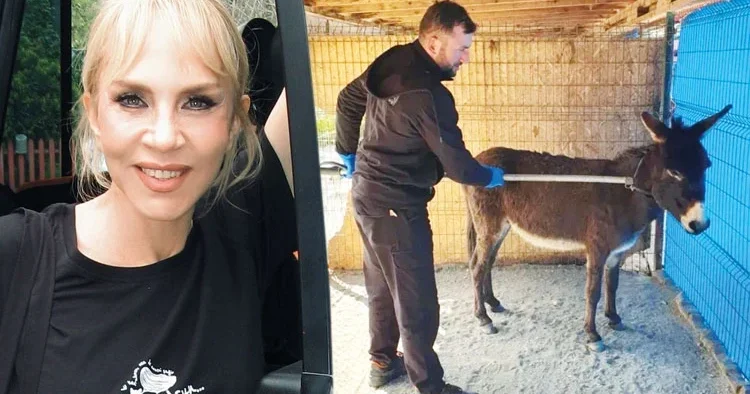 Sertab Erener o eşeği sahiplendi