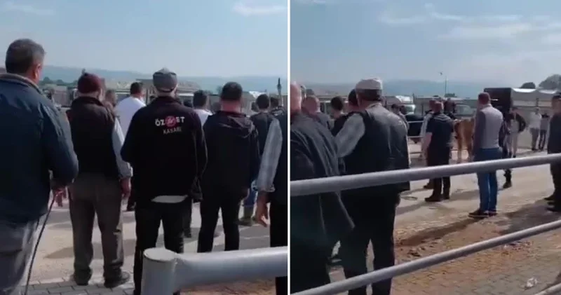 Kurban pazarında kavga: Jandarma havaya ateş açtı, kadın astsubay araya girdi Bursa Haberleri