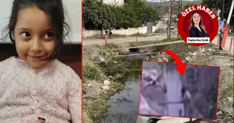 Türkiye nin konuştuğu elektrik faciasının sorumlularına ödül gibi ceza! Sözcü Gazetesi