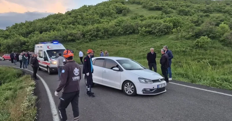 Bingöl’de meydana gelen kazada iki araç çarpıştı: 9 yaralı