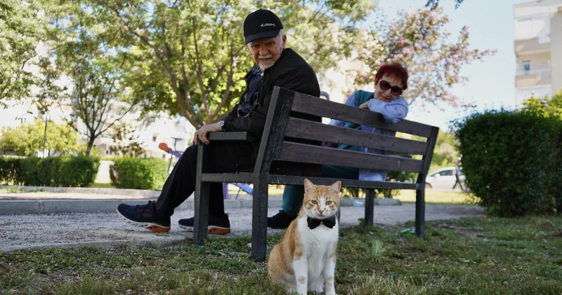Papyonla pazara, yürüyüşe gidiyor! Onsuz bir hayatı düşünemiyoruz