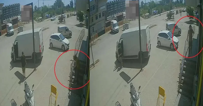 Antalya da yabancı uyruklu şahıs kedinin üzerine bastı, köpeği tekmeledi