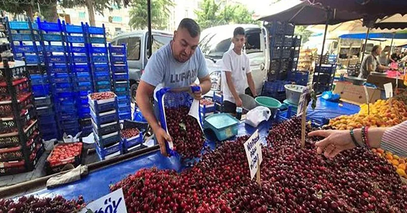 Kiraz fiyatı 70 liraya kadar düştü