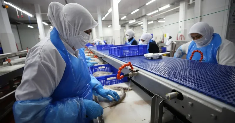 Norveçliler bile hayretler içinde! Bu tesis İzlanda dan alıp İtalya ya satıyor