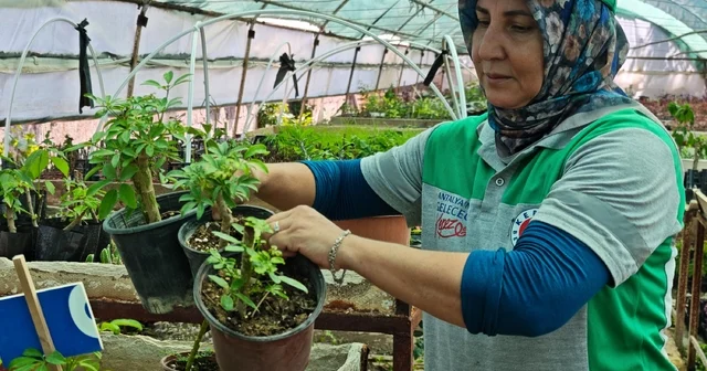 Kepez i güzelleştiren eller Antalya Haberleri