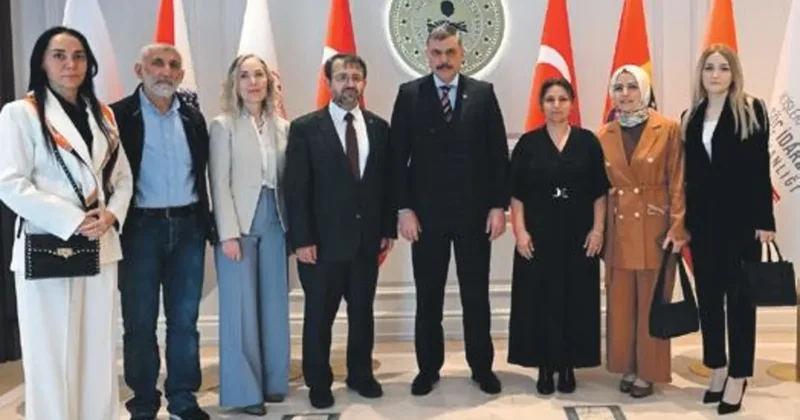 Sahipsiz sokak köpeklerinin tamamını barınaklara alacağız