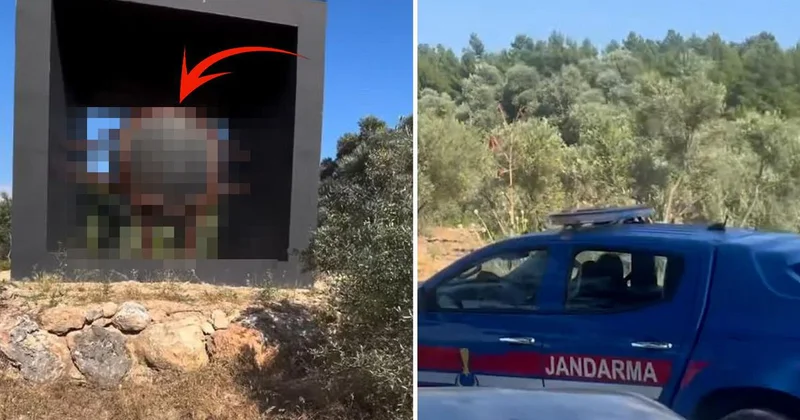Bir ilimizi karıştıran gizemli cisim! Kimse ne olduğunu bilmiyor, köylülerin iddiası vahim