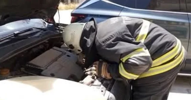 Arsuz da aracın motor kısmına giren yavru kedi kurtarıldı Hatay Haberleri