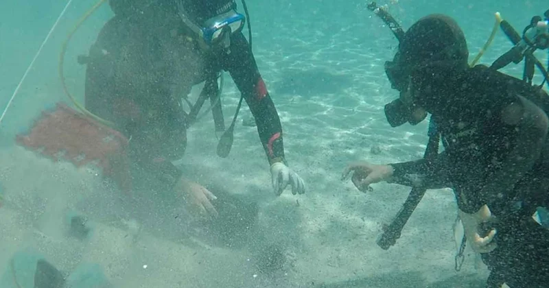 Akdeniz in dibinden madeni para hazinesi çıktı: Sayısı tam 40 bin Sözcü Gazetesi