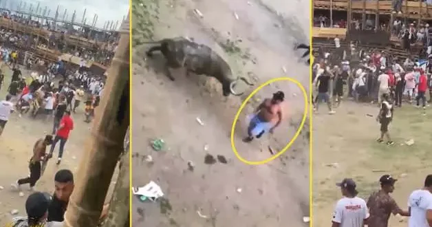 Boğanın boynuzladığı adam feci şekilde can verdi! Jet açıklama: Yüzyıllık bir tarihin son yılı olacak