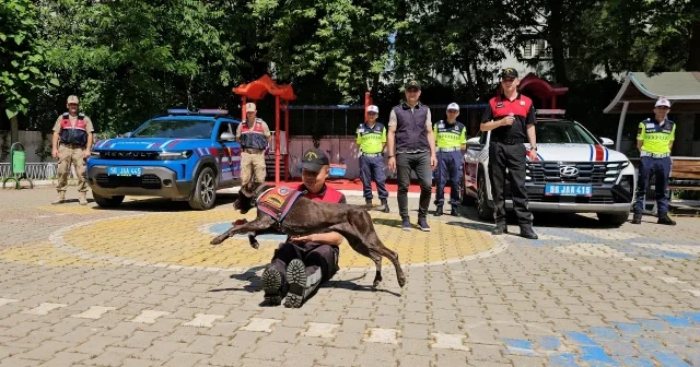 Jandarmanın eğitimli köpekleri minik öğrencilere gösteri düzenledi VİDEO İZLE