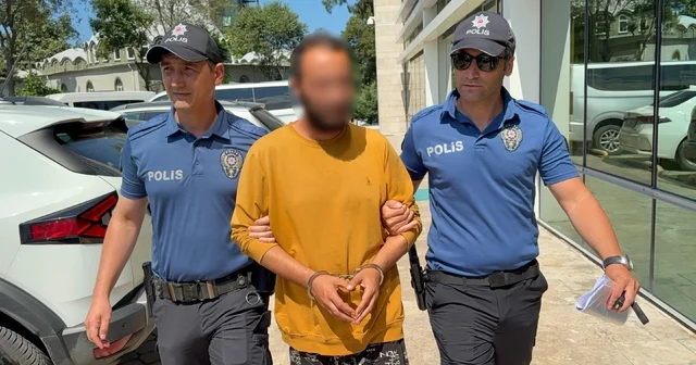 Kediye tekme atan şahıs tutuklandı: Sinirliydim, pişmanım Samsun Haberleri Habertürk Yerel Haberler