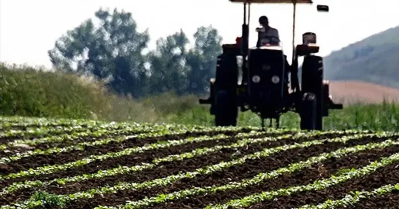 Tarlada üretici fiyatlarında dikkat çeken düşüş! İşte fiyatı en çok gerileyen ürünler