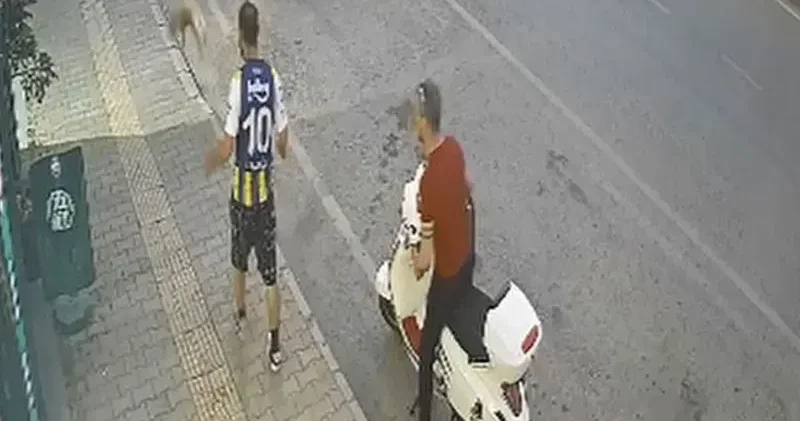 Kediye şiddet kamerada