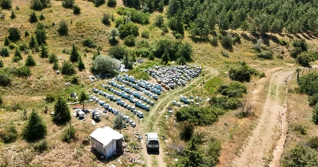 Yozgat ın zengin bitki örtüsü arıcılara umut oldu Yozgat Haberleri Habertürk Yerel Haberler