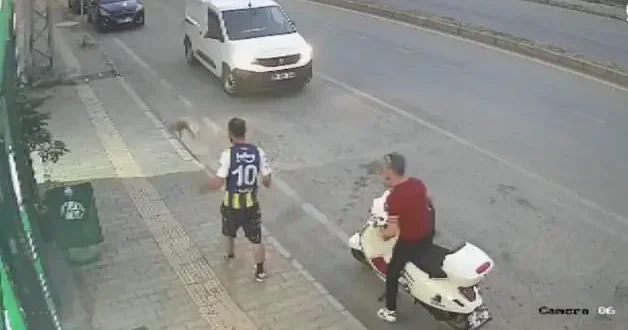 Samsun da kediye tekme atan vicdansız şahıs yakalandı