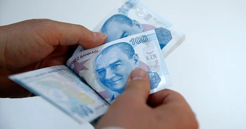 Sosyal ve Ekonomik Destek ödemeleri hesaplara yatırıldı