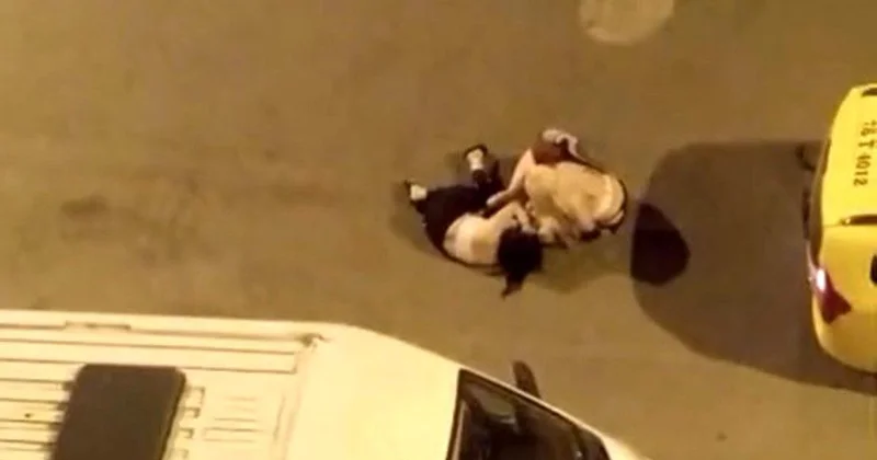 Görüntü serhat şehrimizde kaydedildi! Polis her yerde bu kadınları arıyor