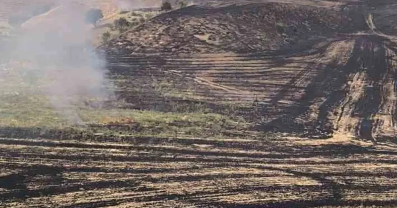 Siirt’te anız yangını meyve bahçesine sıçradı, 100 ağaç zarar gördü