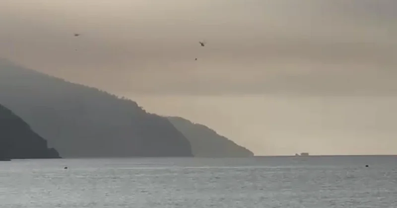 Son dakika: Muğla da orman yangını ikinci gününde! Son dakika haberleri