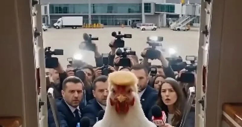 Trump a korkak tavuk göndermesi