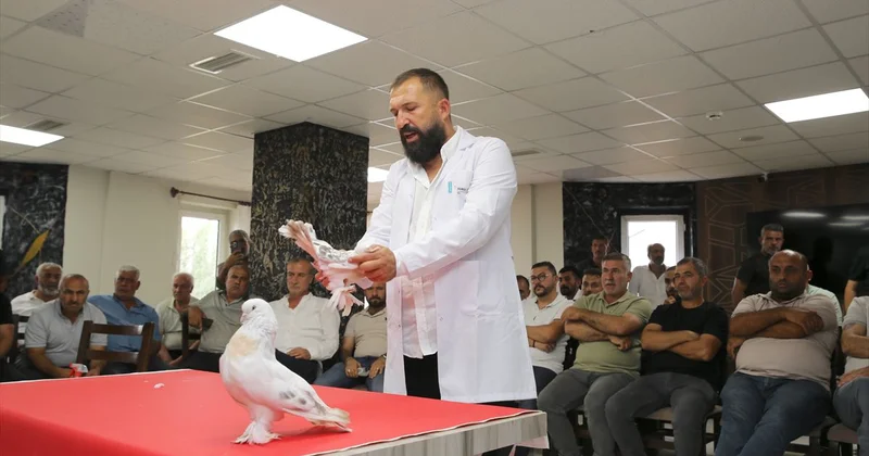 Erzurum da Şebap Güvercin Sergisi Düzenlendi