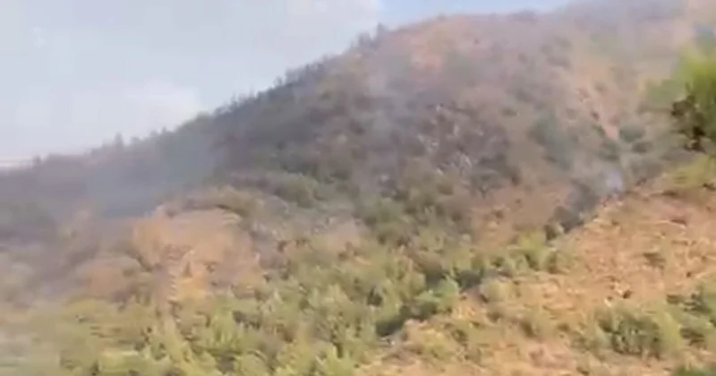Marmaris te yangınla mücadele sürüyor