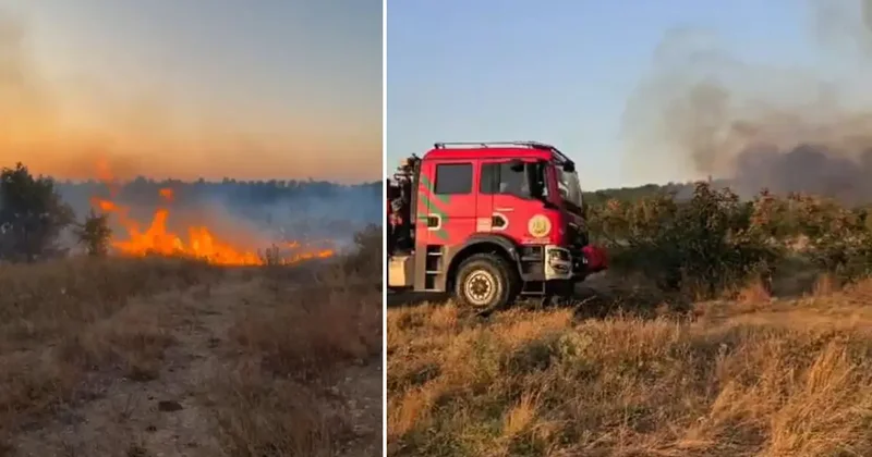 Meriç teki yangın rüzgarın etkisiyle yayılıyor